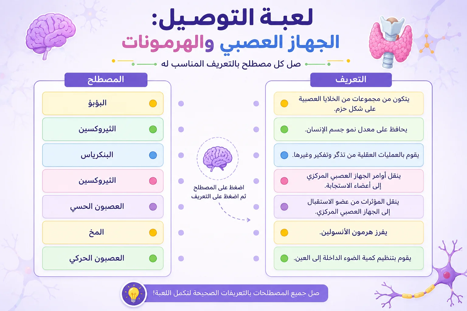 The Reproductive System and Hormones 