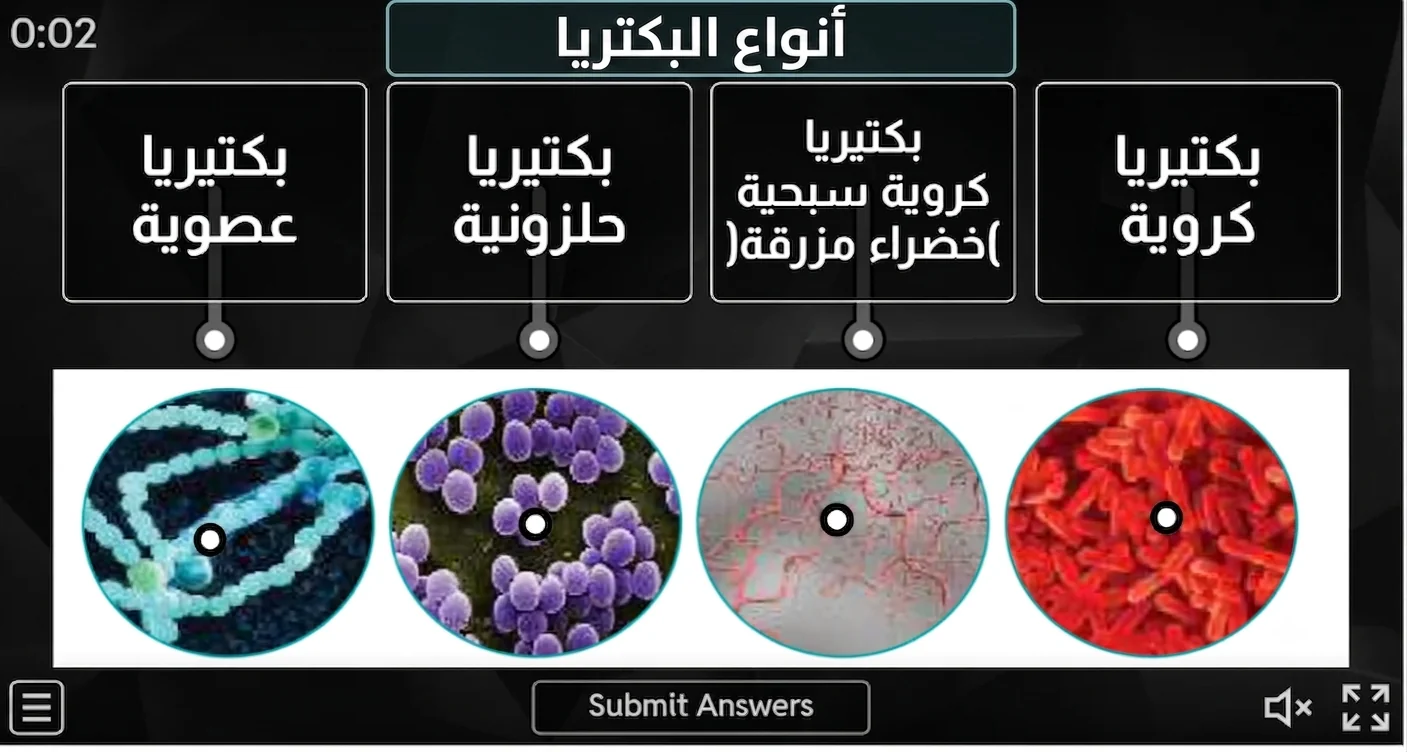 Types of Bacteria