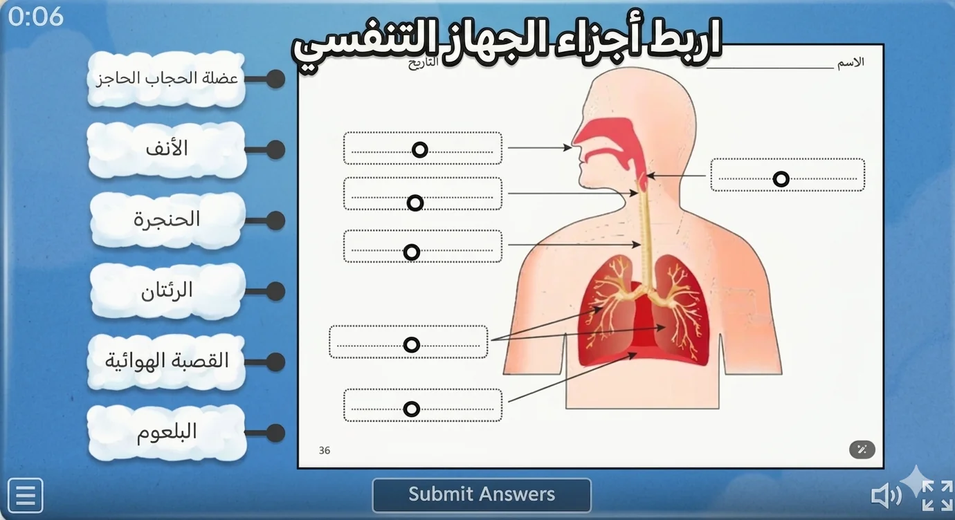 : Connect the parts of the respiratory system