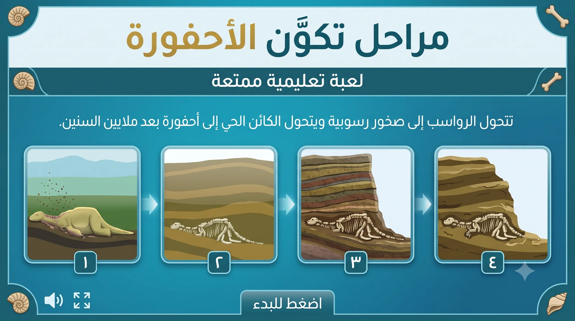 Stages of Fossil Formation