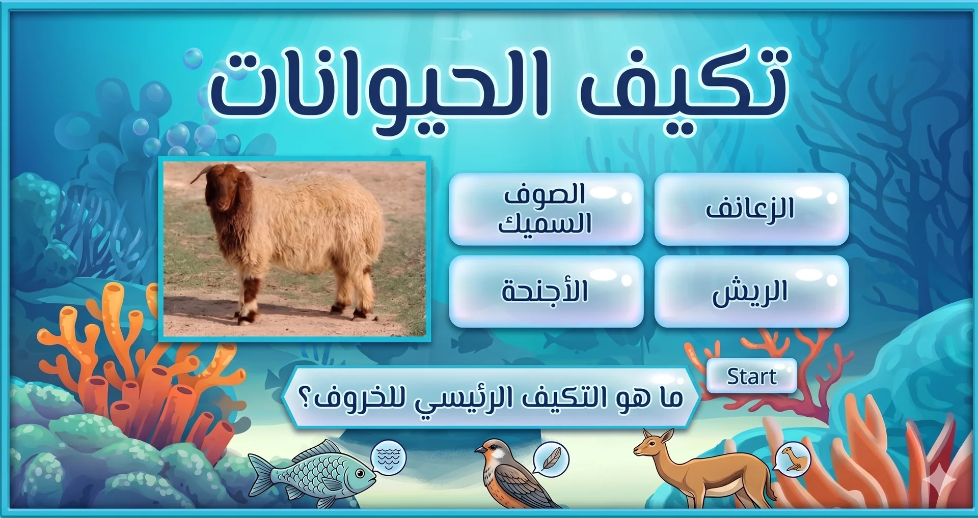 Animal adaptation