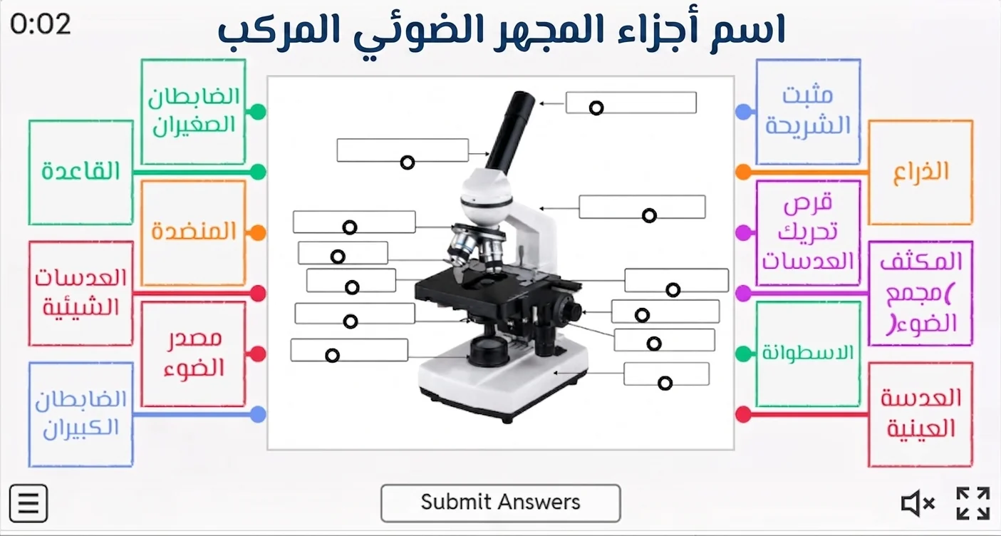 Parts of a Compound Microscope